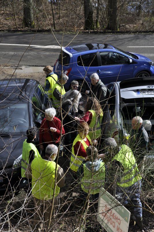 2013 02 25 Montage du crapaudrome 18